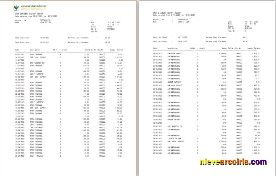 Laos Agricultural Promotion Bank statement Word and PDF, 3 pages